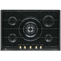 Electrolux Rex PN750RUV